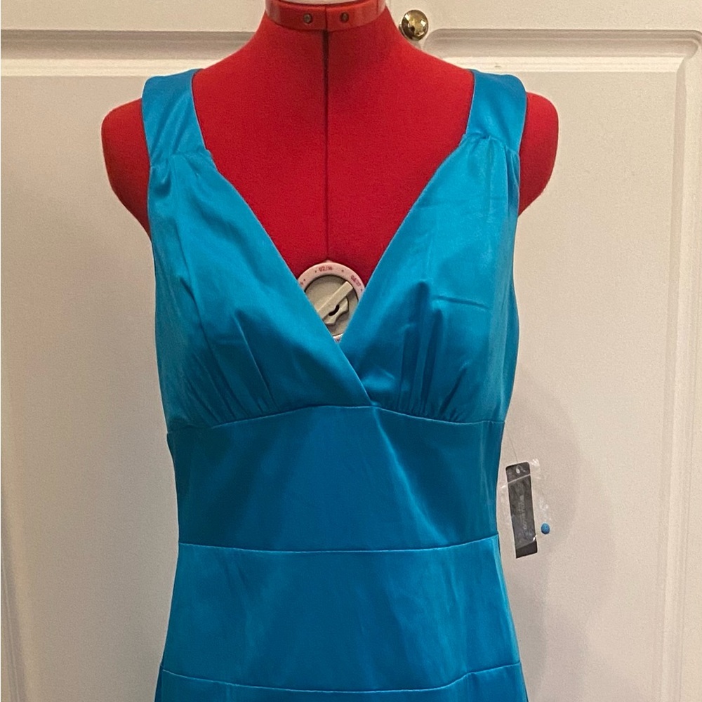 New Bisou Bisou dress